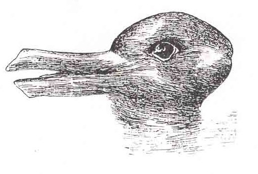 Vexierbild - Hase oder Ente