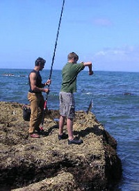 Pesca na Alentejo
